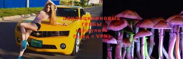 СК Абдулино