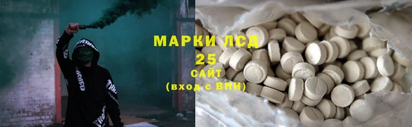 крисы Абаза