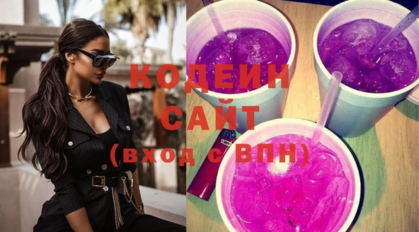 крисы Абаза