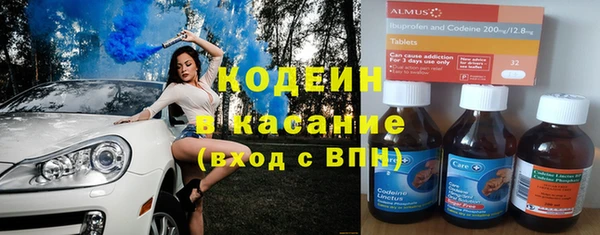 крисы Абаза